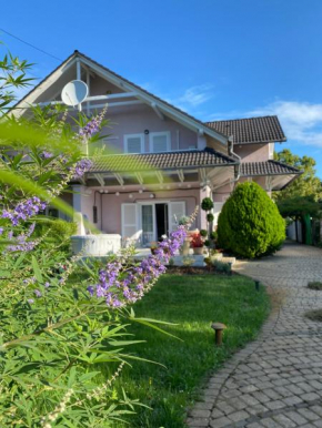 Villa Scamard, Zamárdi